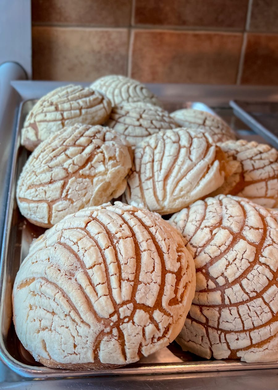 Conchas de vainilla con costra de azúcar en patrón de concha